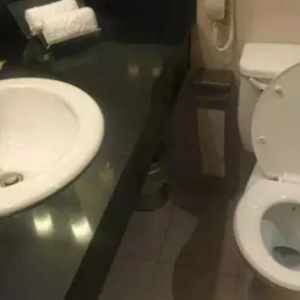 如何正确使用酒店马桶？赶快来get吧