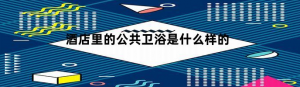 酒店的公共卫浴什么样子的?