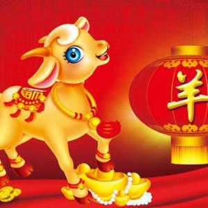 属羊的合作伙伴什么属相好