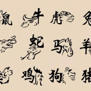 打造最强事业合伙人 。