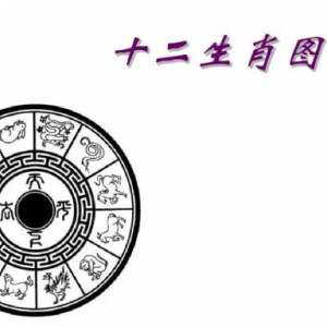 合财属相表（生意合财的属相）