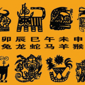 哪些生肖之间适宜合资合作?