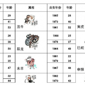 在生意中属相合作配对表