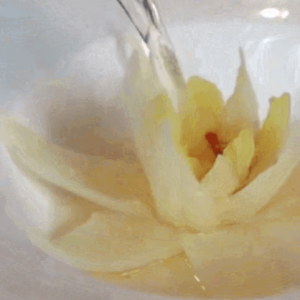 经典不辣川菜，没有一丝辣椒，味道同样出彩